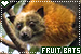  Bats: Megabats (Fruit Bats): 