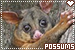  Possums: 