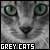  Cats: Grey