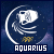  Aquarius