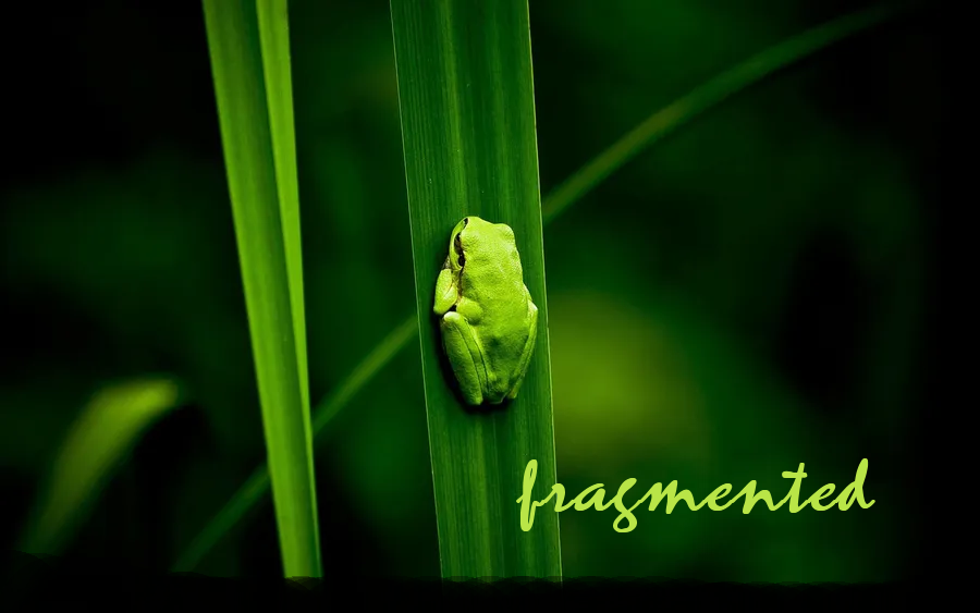 Fragmented