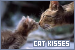  Cat Kisses ~ Laurie